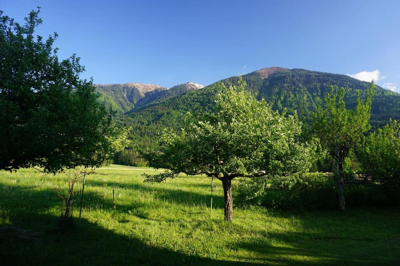Guesthouse Schoba Typ A Кирхбах Экстерьер фото